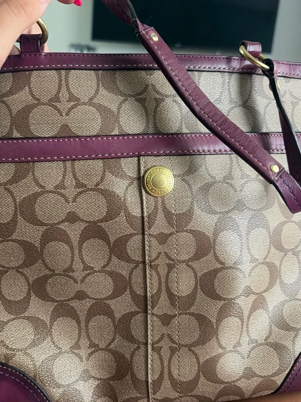 Coach Signature Stripe Tote in Brown and Plum